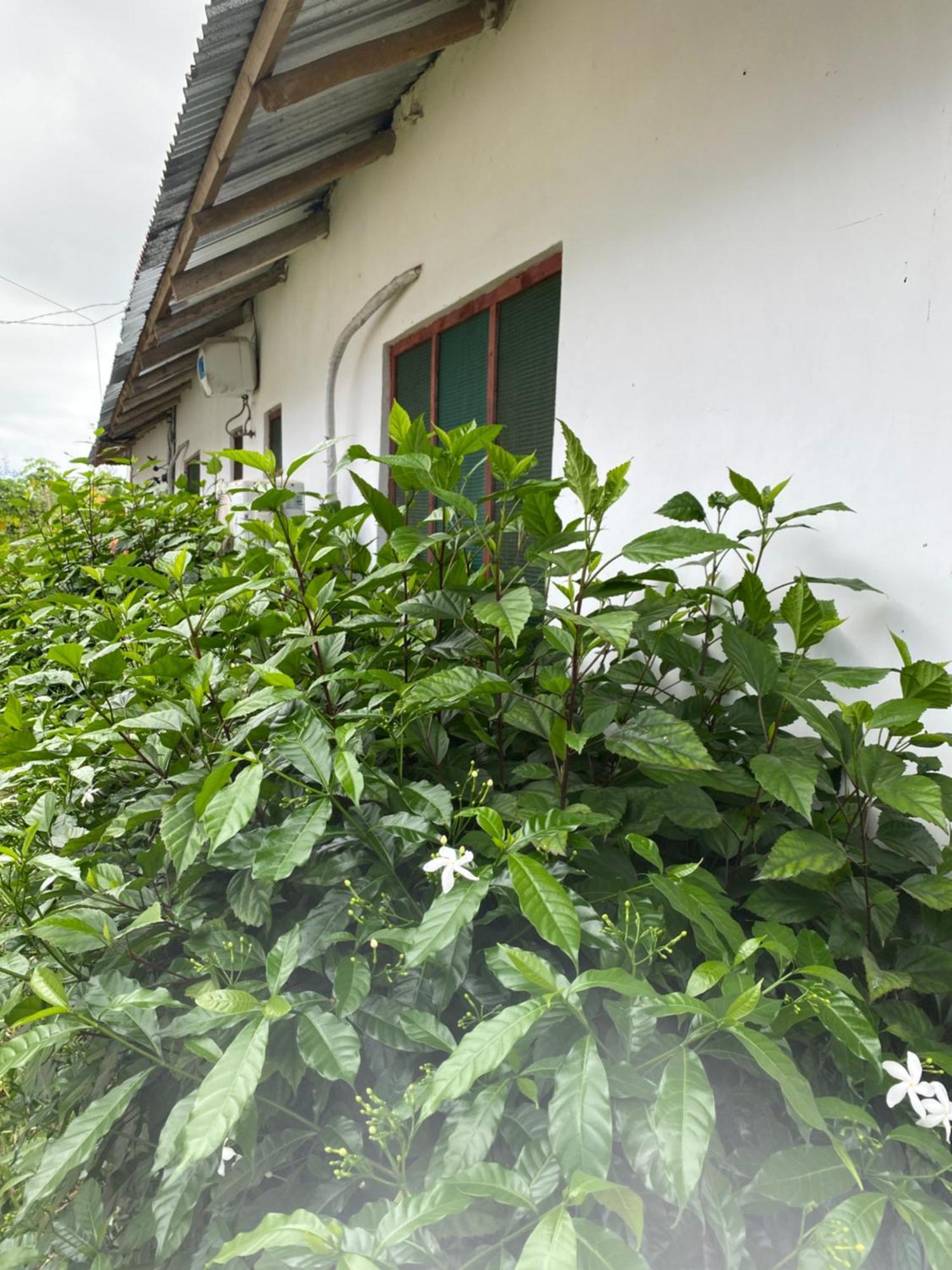 Bed and Breakfast Falcon House Кендва Екстер'єр фото