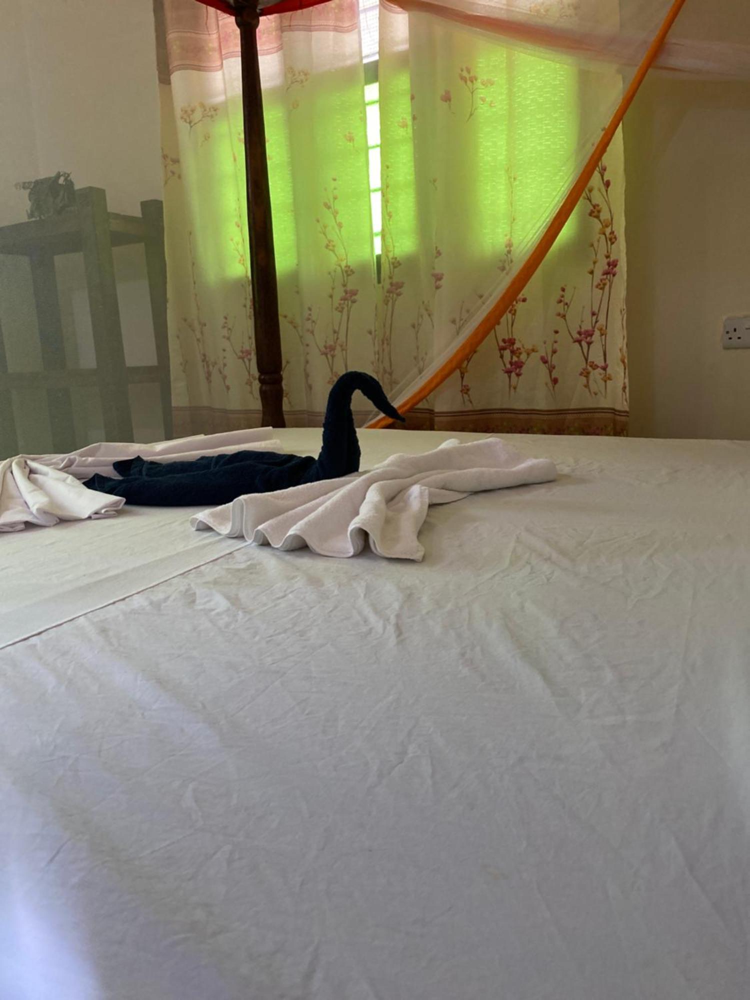 Bed and Breakfast Falcon House Кендва Екстер'єр фото