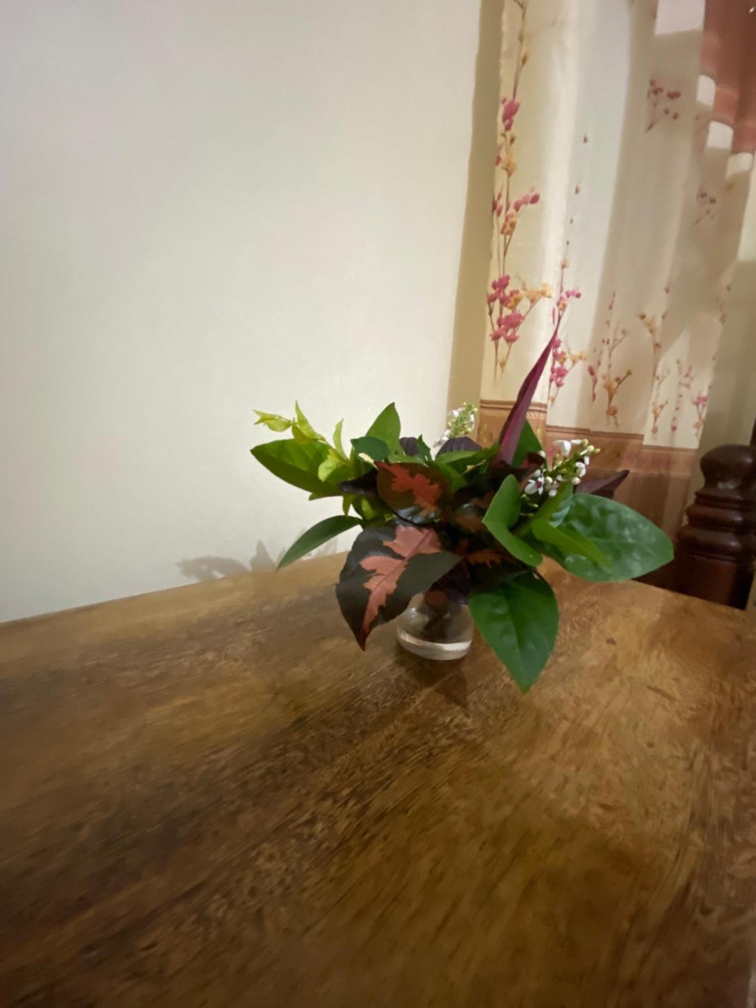 Bed and Breakfast Falcon House Кендва Екстер'єр фото